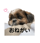 俺、レアル。（個別スタンプ：4）