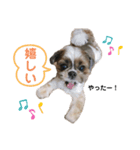 俺、レアル。（個別スタンプ：6）