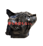 猫スタンプです。（個別スタンプ：3）