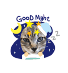 猫スタンプです。（個別スタンプ：6）