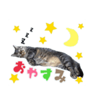 我が家のまいりー（個別スタンプ：4）