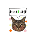我が家のまいりー（個別スタンプ：5）