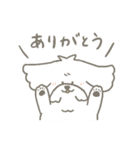 ふわふわマルチーズ★こたろう（個別スタンプ：3）