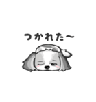 毎日つかえる！ゆるシーズー（個別スタンプ：14）