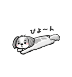 毎日つかえる！ゆるシーズー（個別スタンプ：38）