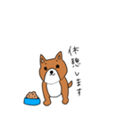 シュールな犬（個別スタンプ：1）