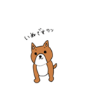 シュールな犬（個別スタンプ：3）