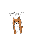 シュールな犬（個別スタンプ：9）