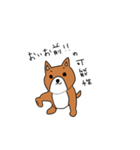 シュールな犬（個別スタンプ：12）