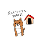 シュールな犬（個別スタンプ：15）