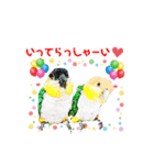 ニョオウインコとシロハラインコ2（個別スタンプ：15）