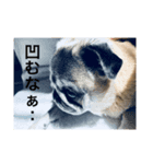 癒される〜ぜ（個別スタンプ：1）
