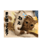 癒される〜ぜ（個別スタンプ：6）