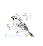 バードウォッチ スタンプ（個別スタンプ：2）