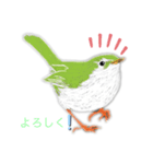 バードウォッチ スタンプ（個別スタンプ：8）
