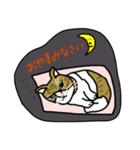 メイちゃんの世界です。（個別スタンプ：22）