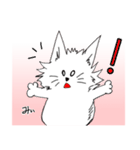 まるで子猫のような不思議なわんコ「みぃ」（個別スタンプ：4）