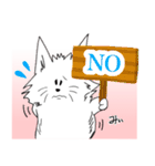 まるで子猫のような不思議なわんコ「みぃ」（個別スタンプ：38）