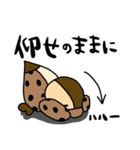 毎日使える！カモのくわわスタンプ（個別スタンプ：39）
