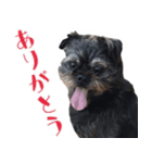 上田クロ（個別スタンプ：5）