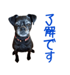 上田クロ（個別スタンプ：7）