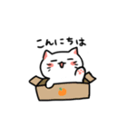 白ねことうふ（個別スタンプ：1）