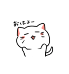 白ねことうふ（個別スタンプ：2）