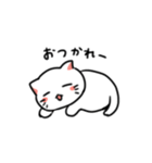 白ねことうふ（個別スタンプ：4）