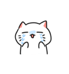 白ねことうふ（個別スタンプ：13）