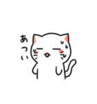 白ねことうふ（個別スタンプ：15）