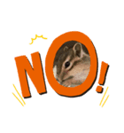chipmunk_420（個別スタンプ：2）