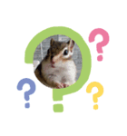 chipmunk_420（個別スタンプ：3）