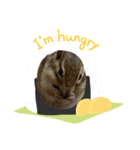 chipmunk_420（個別スタンプ：4）