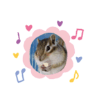 chipmunk_420（個別スタンプ：5）