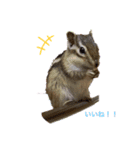 chipmunk_420（個別スタンプ：8）