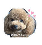 ぽりしぇら（個別スタンプ：2）