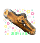 ぽりしぇら（個別スタンプ：6）