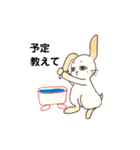 お目めな  うさぎの  良く使う友達会話（個別スタンプ：10）