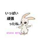 お目めな  うさぎの  良く使う友達会話（個別スタンプ：27）