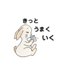お目めな  うさぎの  良く使う友達会話（個別スタンプ：30）