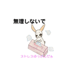 お目めな  うさぎの  良く使う友達会話（個別スタンプ：31）