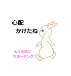 お目めな  うさぎの  良く使う友達会話（個別スタンプ：37）