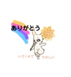 お目めな  うさぎの  良く使う友達会話（個別スタンプ：39）