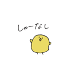 大学生とひよこ（個別スタンプ：40）