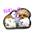 ちーずメリーよく使う挨拶（個別スタンプ：3）