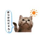 杏子のまいにち2（個別スタンプ：6）