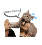 杏子のまいにち2（個別スタンプ：7）