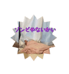 あきとといっしょ（個別スタンプ：39）