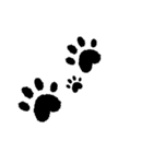 便利な言葉3（個別スタンプ：22）