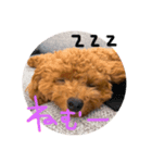 くぅちゃん。2（個別スタンプ：7）